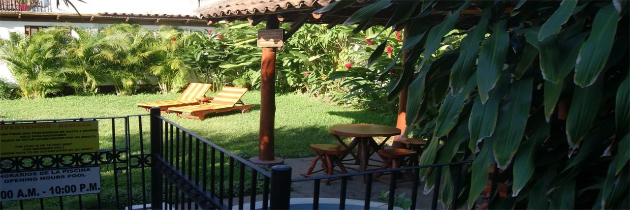 Área de sol con tumbonas de madera junto al jardín