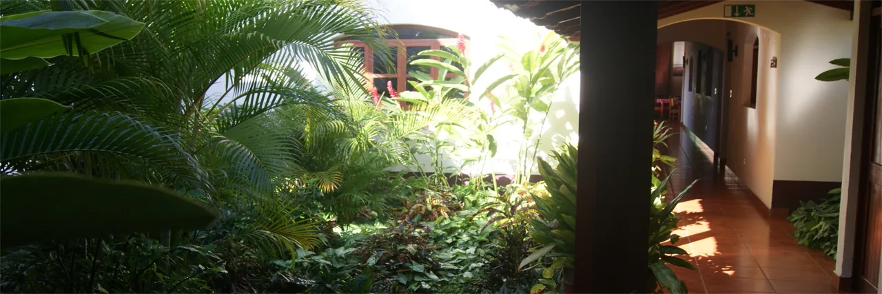 Jardín con palmeras y vegetación densa junto al corredor
