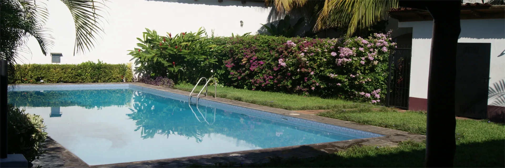 La piscina del hotel rodeada de jardín en flor